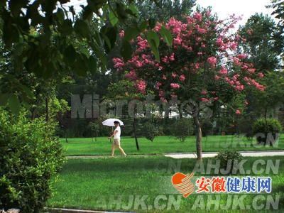 夏季.jpg